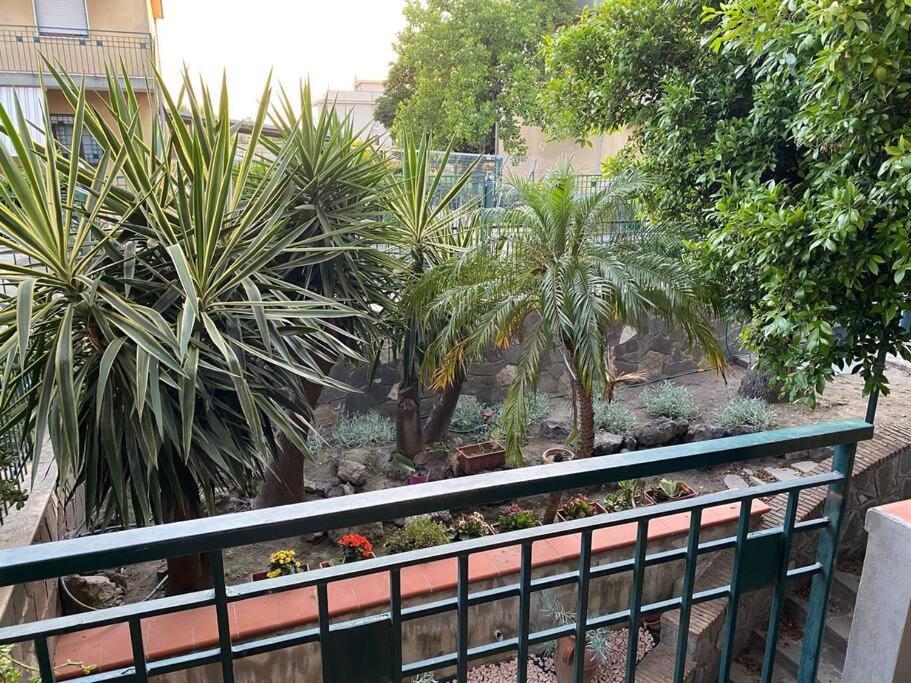 Casa Vacanze Parco Dei Fiori Villa สกาฟาติ ภายนอก รูปภาพ